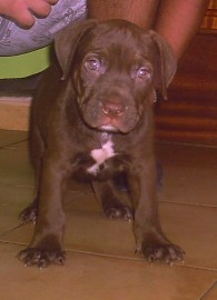 JACKSON