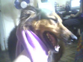 flor