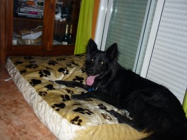 curro