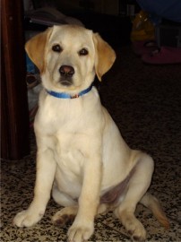 KIARA