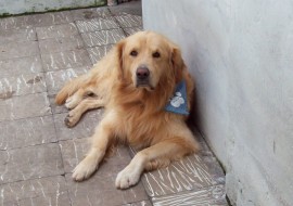 manolo