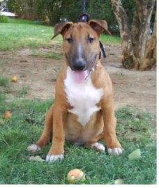 a momo 3meses