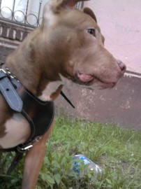 TISHAN!!