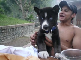 linco