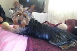 vicky