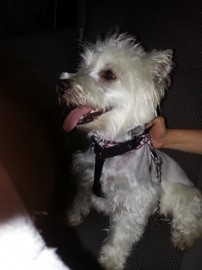 Tuko