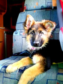 KoRa