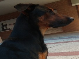 Melen