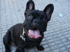 sombra