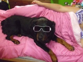 homero