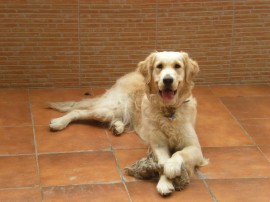 LUNA - no esta en venta