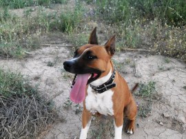 tula