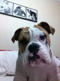 biggie