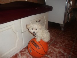 Lucia