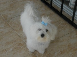 Nina
