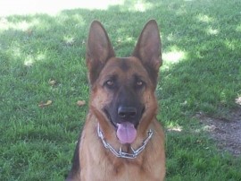 kora