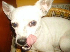 Chucky
