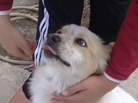 Lulú