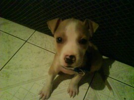 Tony