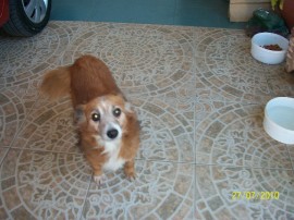 Casimiro