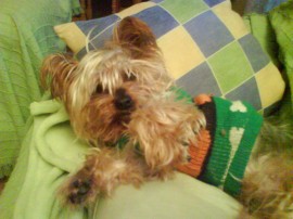 Sallie