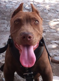 Zeus