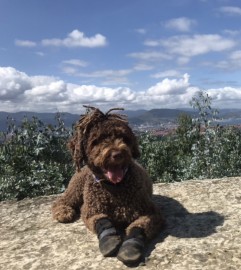 Rita