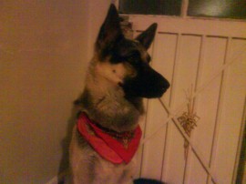 Odin