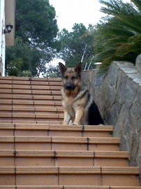 CHULA