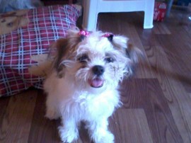 Sharlyn.