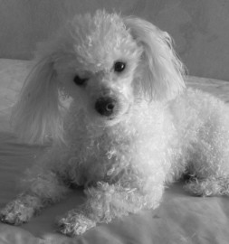 kika