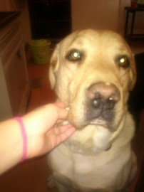 marley