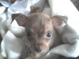 Jr. (junior)