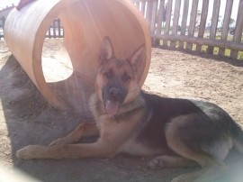 Zeus