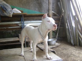 !!!!Dalia...!!! =)