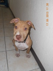 Zeus