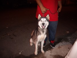Tayson Kaponi