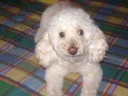 George