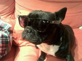 Elvis