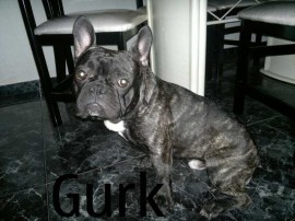 Gurk