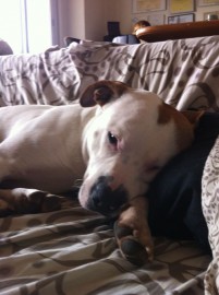 Otto