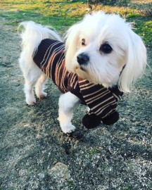 Romeo
