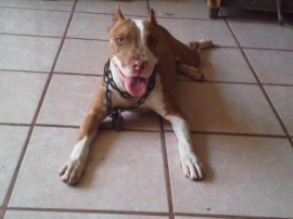 PRINCESA