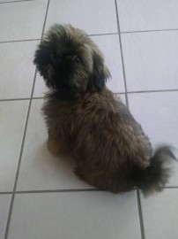 Ronny