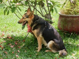 KATTIA Rodrìguez Montoya