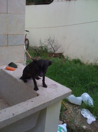 loby