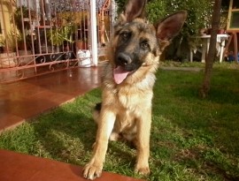 LUNA