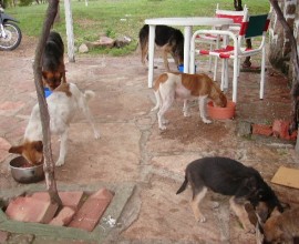 Iurguen - Nena - Nenita - Lamama - Ricardo - Gordito