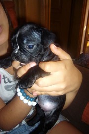 Luke