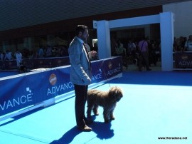 curro